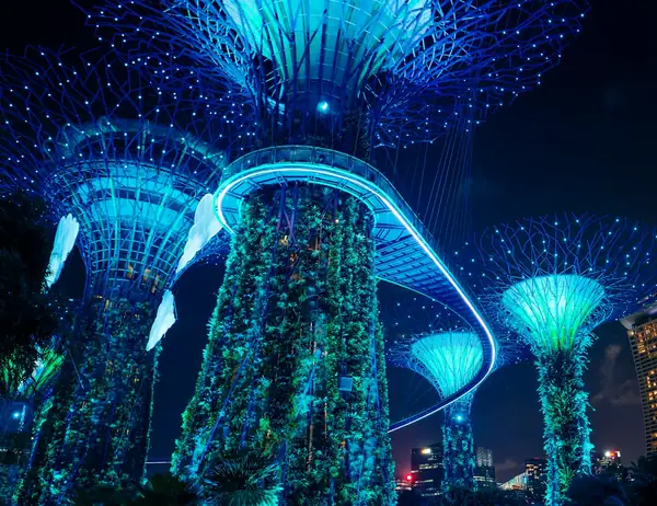 Supertree Grove at Gardens by the Bay lit up at night