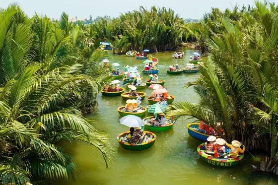 Coconut jungle and Hoi An Ancient Town